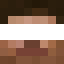 Merrll Minecraft skin head