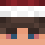 Fanktible Minecraft skin head
