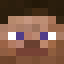 Test Minecraft skin head